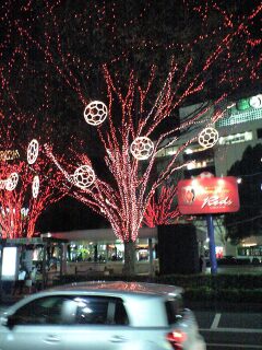 081224_1844~0001.jpg